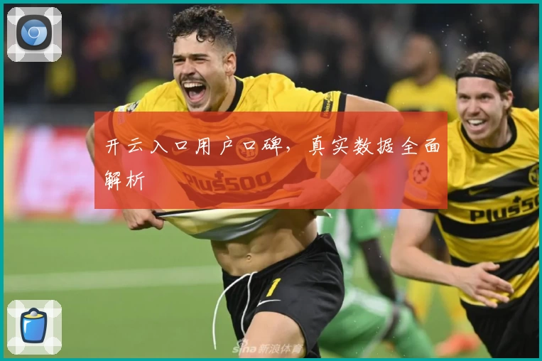 开云入口用户口碑，真实数据全面解析