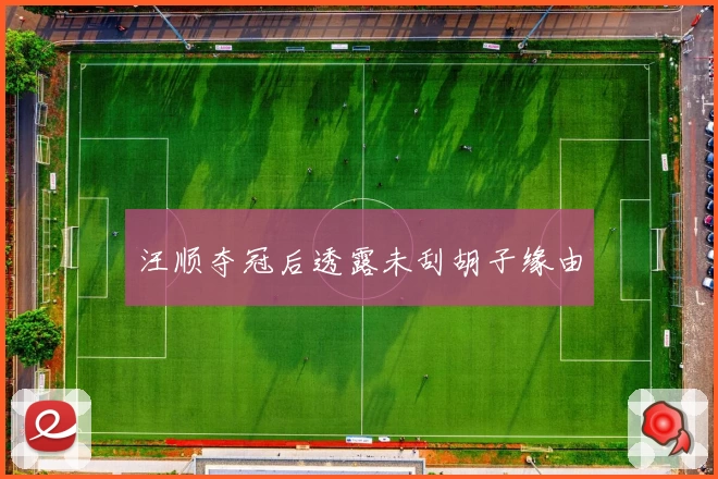 汪顺夺冠后透露未刮胡子缘由