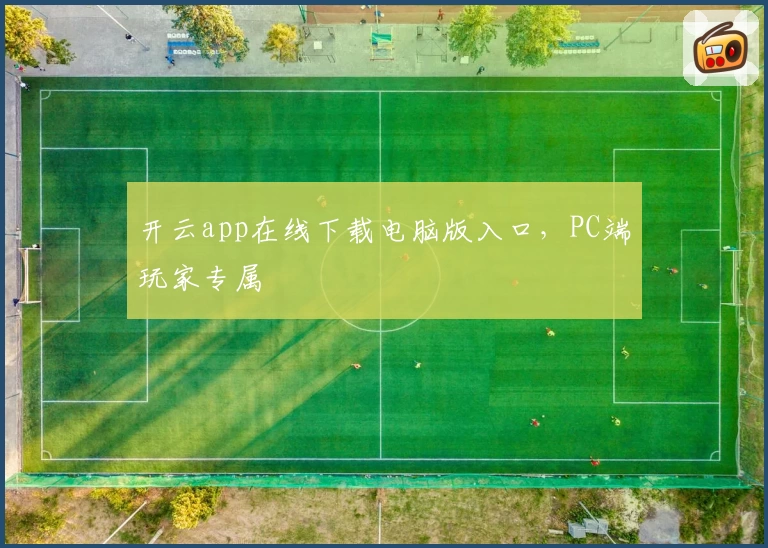 开云app在线下载电脑版入口，PC端玩家专属