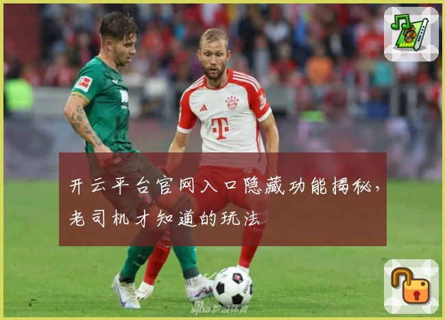 开云平台官网入口隐藏功能揭秘，老司机才知道的玩法