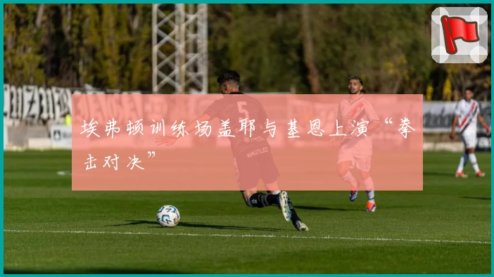 埃弗顿训练场盖耶与基恩上演“拳击对决”