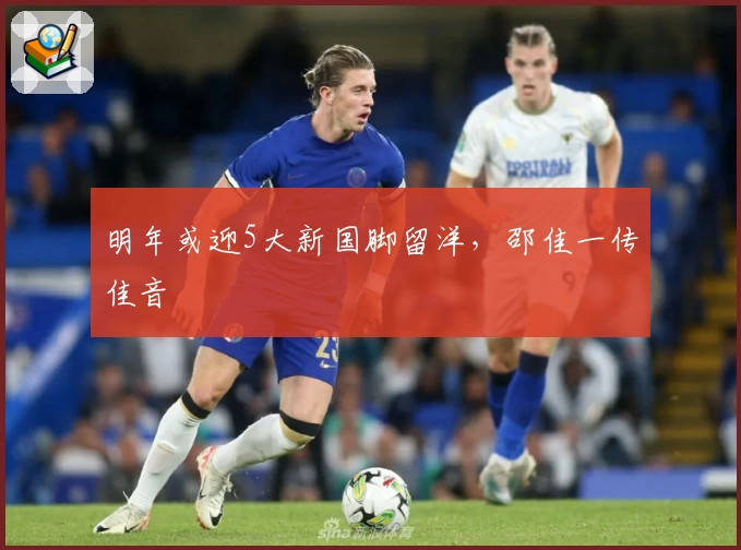 明年或迎5大新国脚留洋，邵佳一传佳音