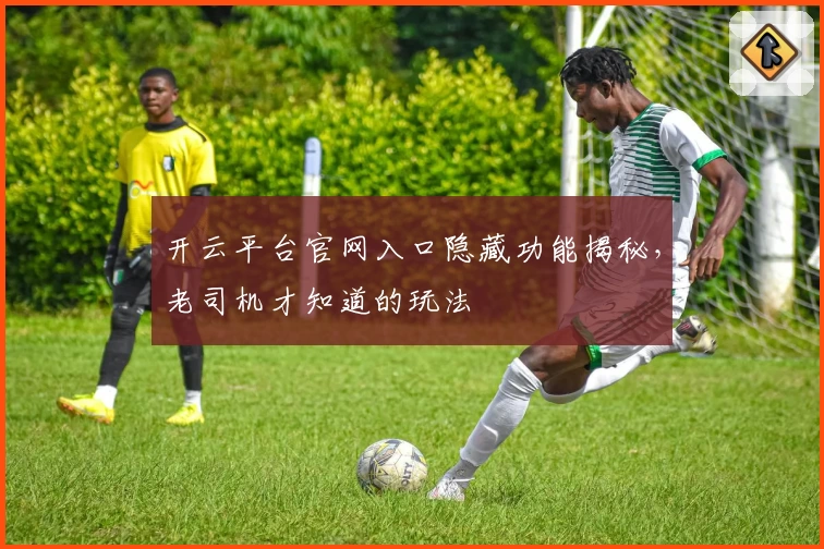 开云平台官网入口隐藏功能揭秘，老司机才知道的玩法