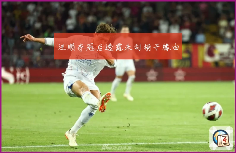 汪顺夺冠后透露未刮胡子缘由